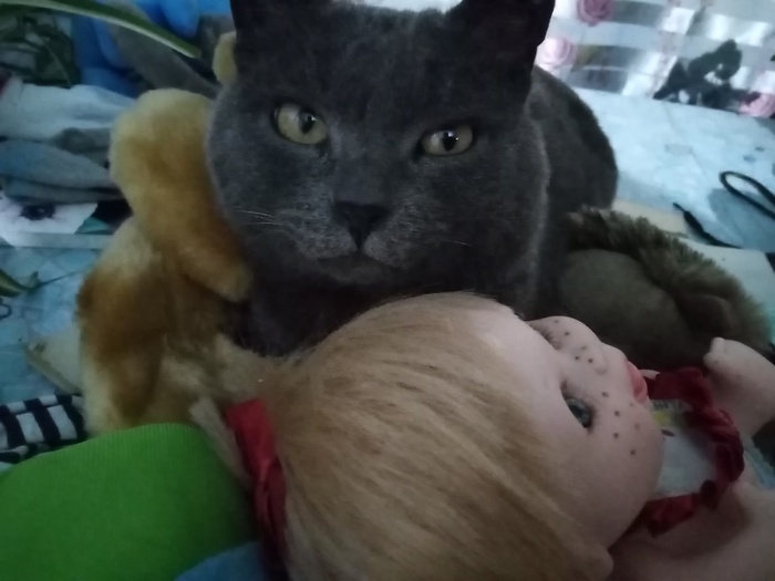 Ответ на пост «Моя лучшая фотография кота»