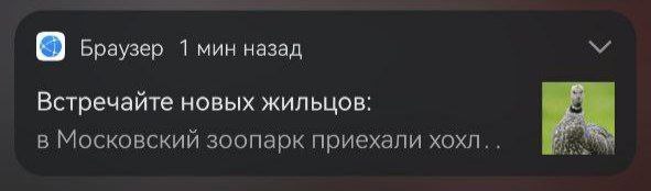 Ну хоть где-то пригодятся