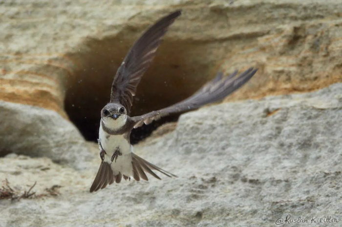 Ура, наконец-то свобода и никаких клещей!