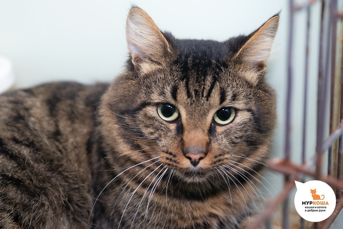  , 2 ,   .  .        - .  ,              .