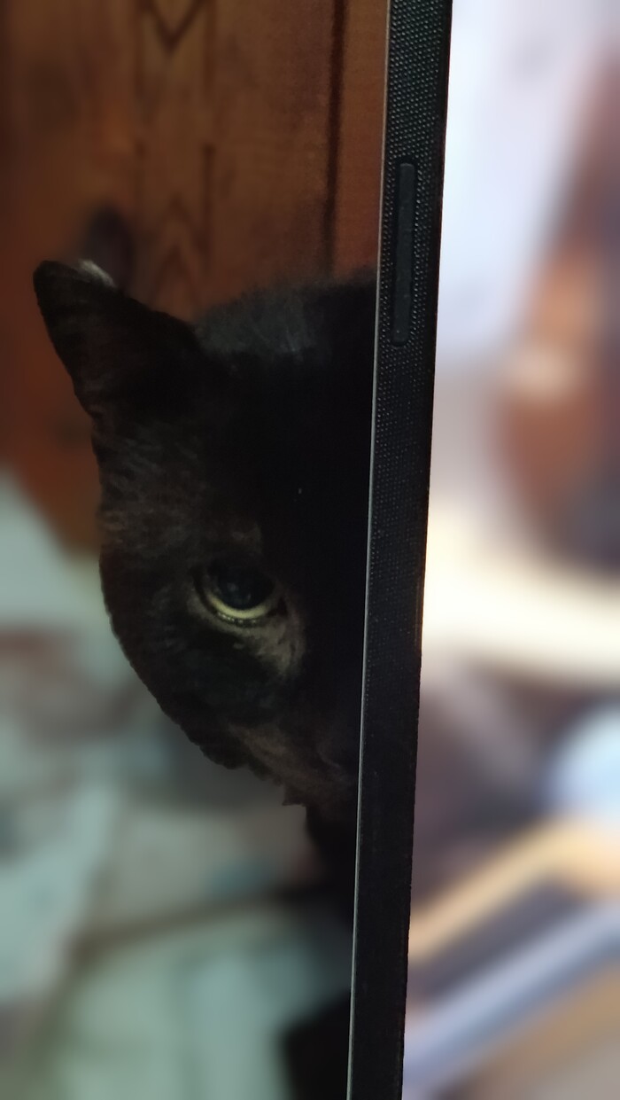    &quot;,   ,   &quot;