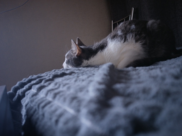    &quot;,   ,   &quot;