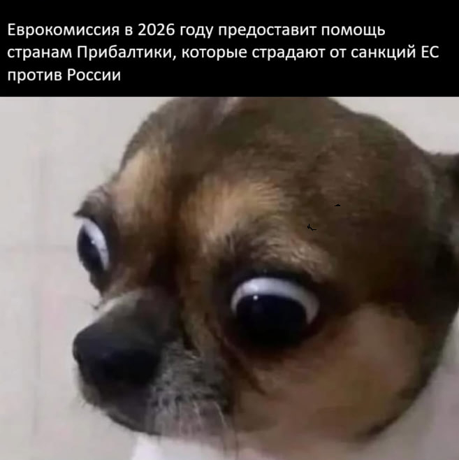 Экономика порвана в клочья, но есть нюанс