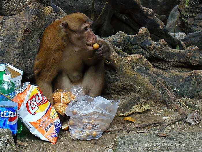 Когда пришла зарплата, а в тебе внезапно проснулся 8 летний ребёнок.