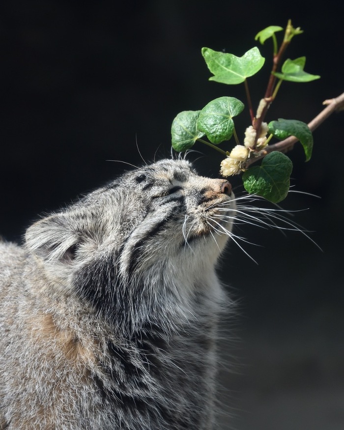Ммммм... Как вкусно пахнет