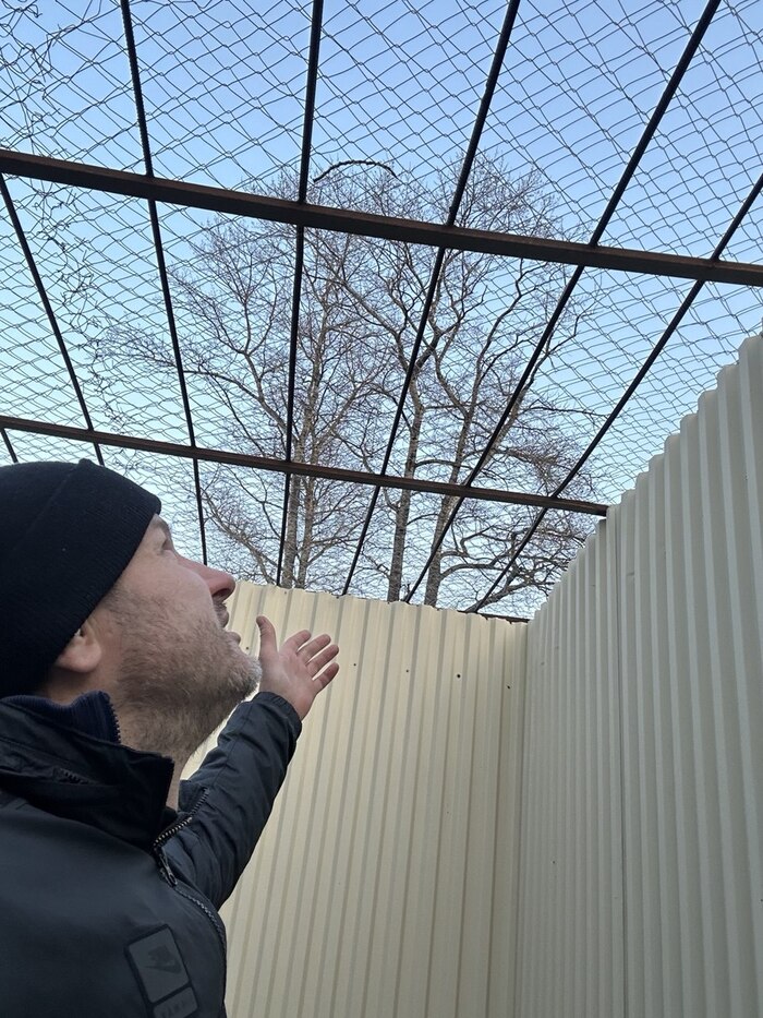 Из нефтянки — в исправцентр. Как я строю IT-бизнес, отбывая срок