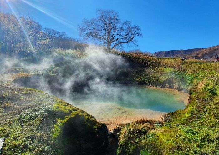  , .    <!--noindex--><a href="https://pikabu.ru/story/beryoza_v_doline_geyzerov_13464945?u=http%3A%2F%2Fkronoki.ru&t=kronoki.ru&h=dc69d3000da51a90a28a6f3fbd8742afc64478aa" title="http://kronoki.ru" target="_blank" rel="nofollow noopener">kronoki.ru</a><!--/noindex-->