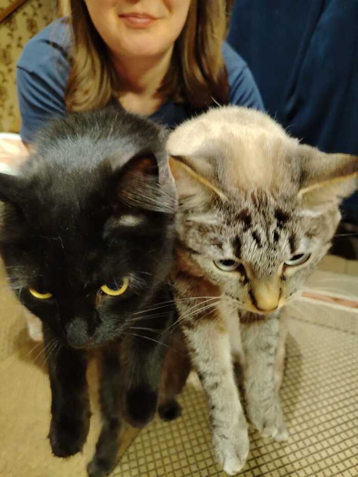  Ivankoo  &quot;,   ,   &quot;