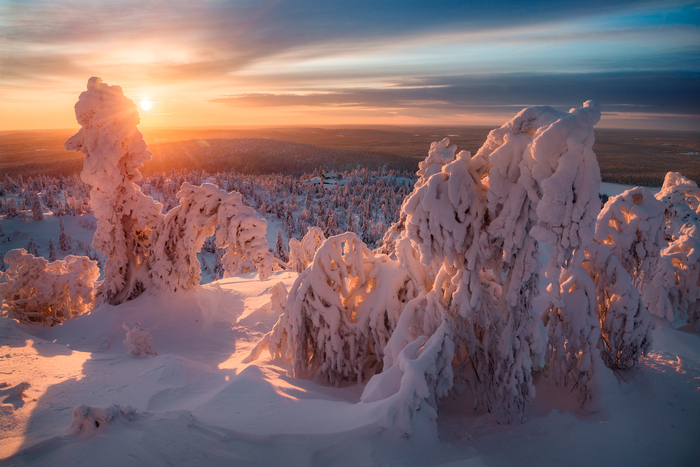 Зимний полдень