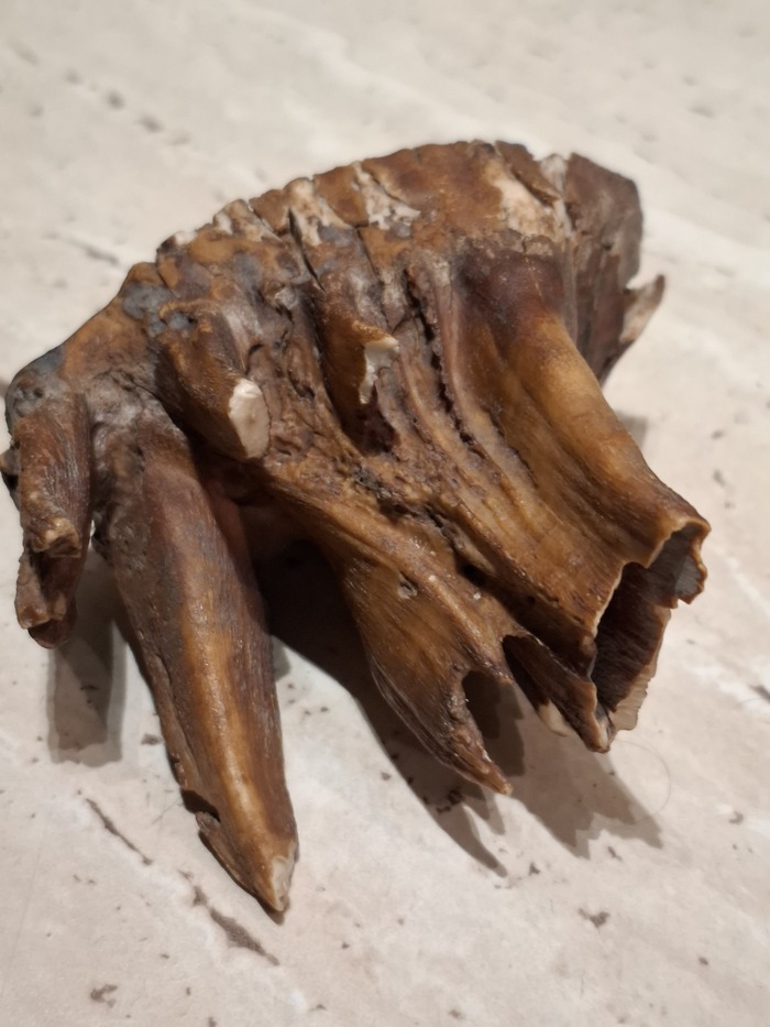   ,  ,   -    . ,   ,  .