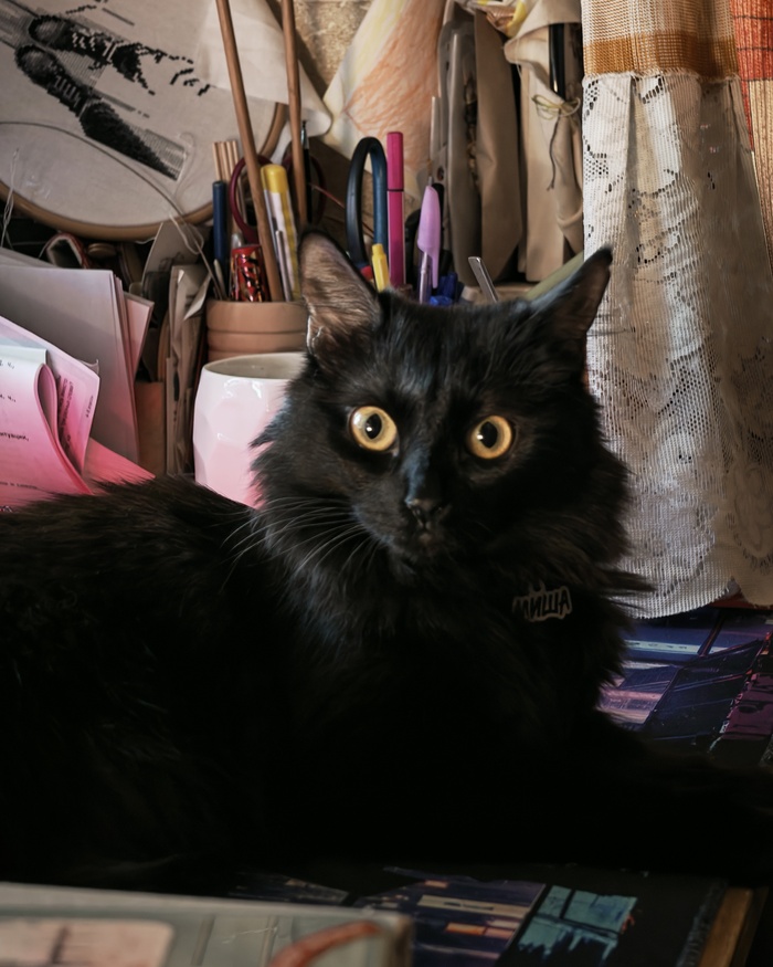    &quot;,   ,   &quot;