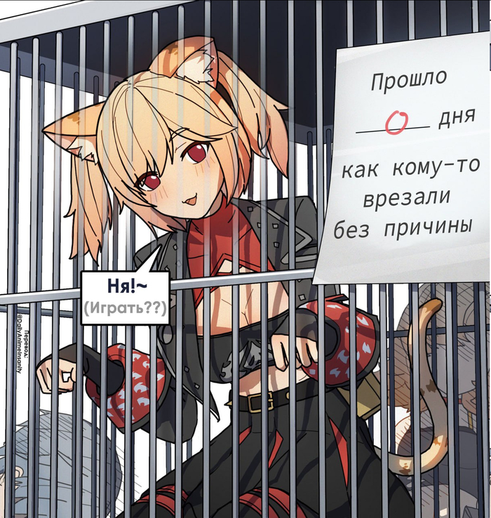 Котострофа