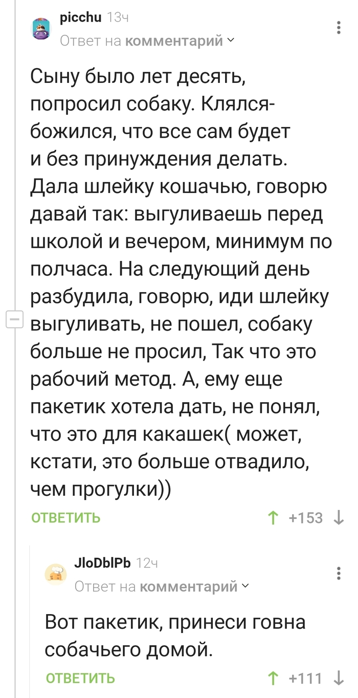 Ну ты же хотел собаку?)