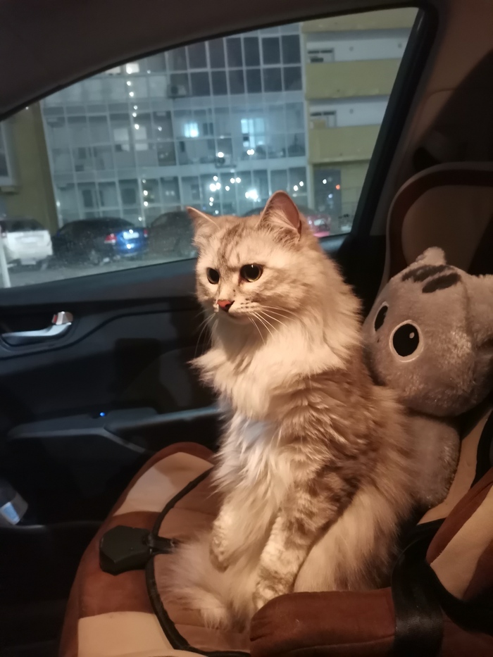 � ��� �������� �� ������������