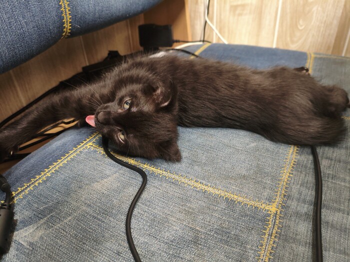    &quot;,   ,   &quot;