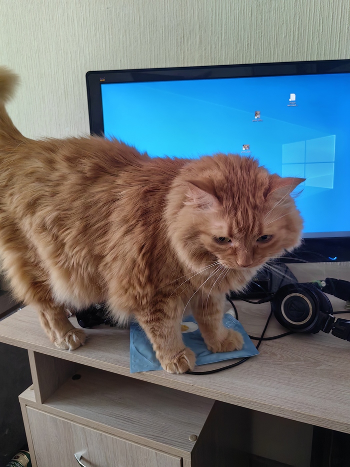  CATALEXFM  &quot;,   ,   &quot;