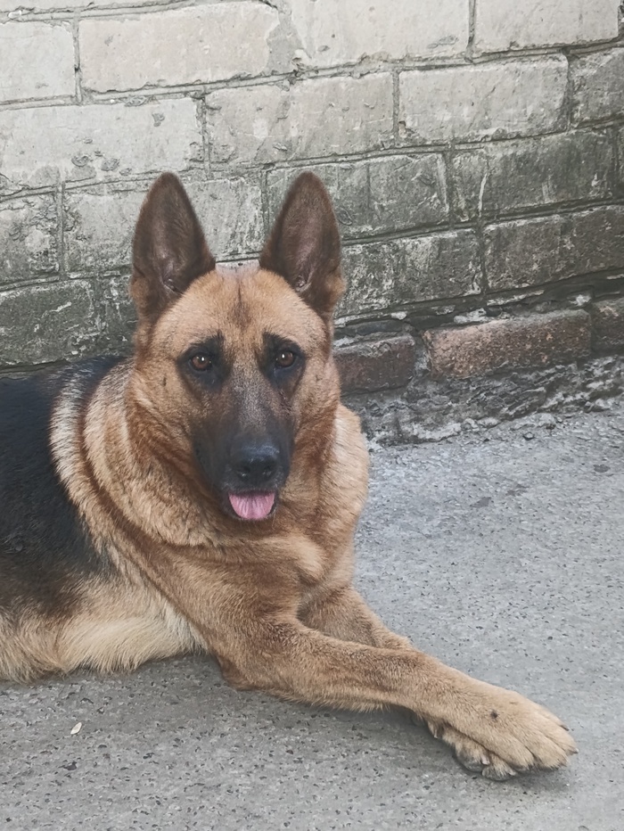   ,       ,        ,   ,       ,   ,           