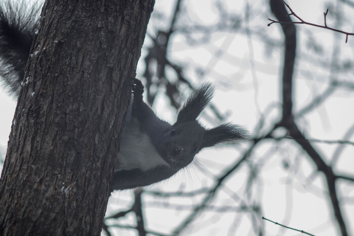 А что это вы тут делаете, а?