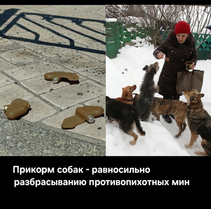 Те кто кормит собак - террористы?