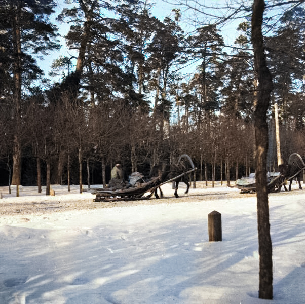 Фотограф: Александр Гринберг