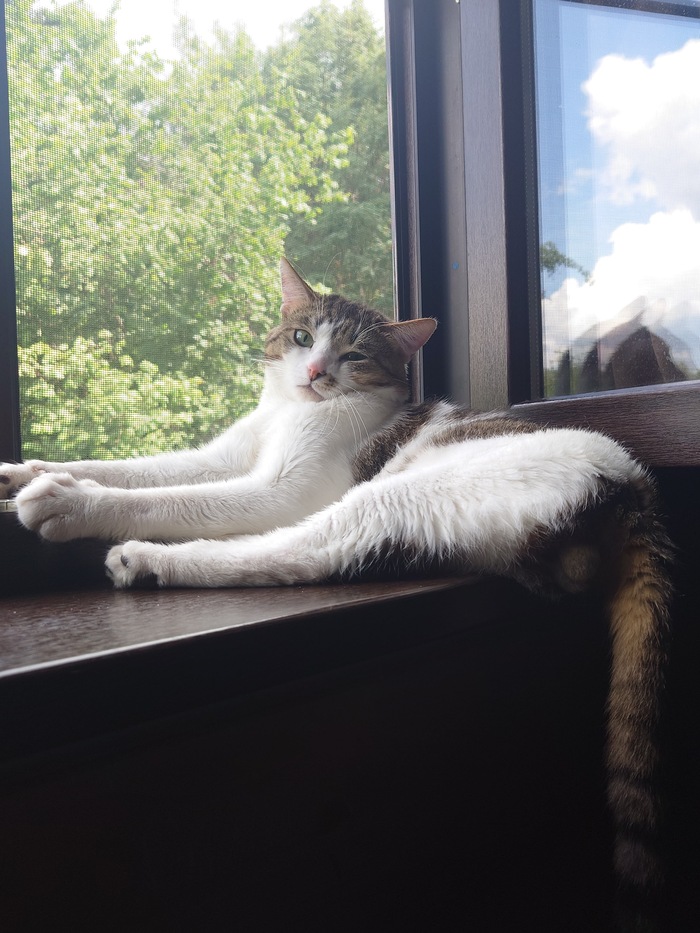 ������ ��� ����� ��� ) ���� ���������� ��� � ��������� ))) ����� ����� �������� �����.