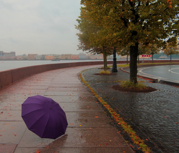 Китайский зонтик в Питере
