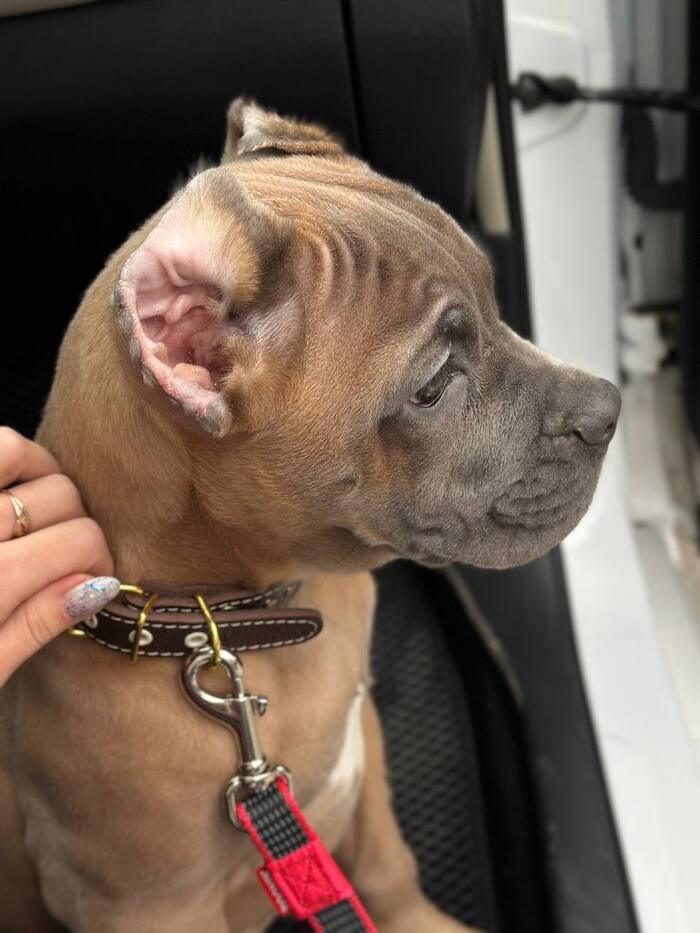 Простите, я просто поделиться радостью