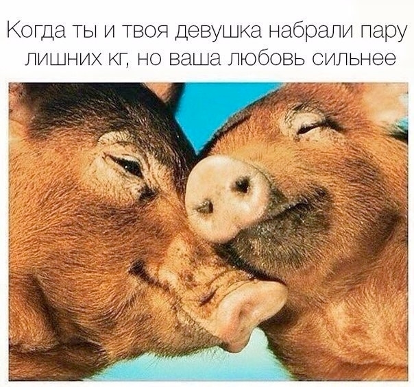 Пару лишних