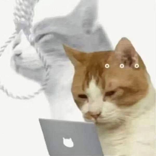  .        .  16    10   