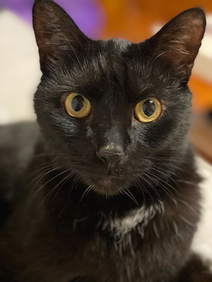    &quot;,   ,   &quot;