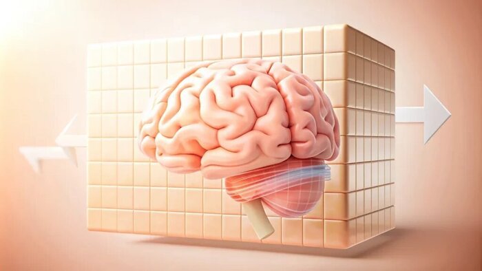 Практические вопросы памяти