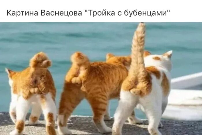 Ответ dendw23031980 в «Сложные взаимоотношения котов со своими хвостами»