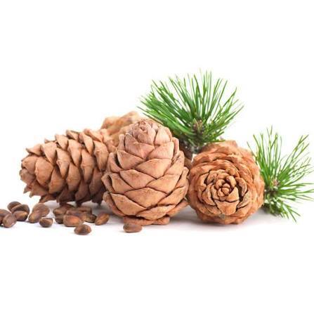 Пикабушники-северяне! Подарите шишек!