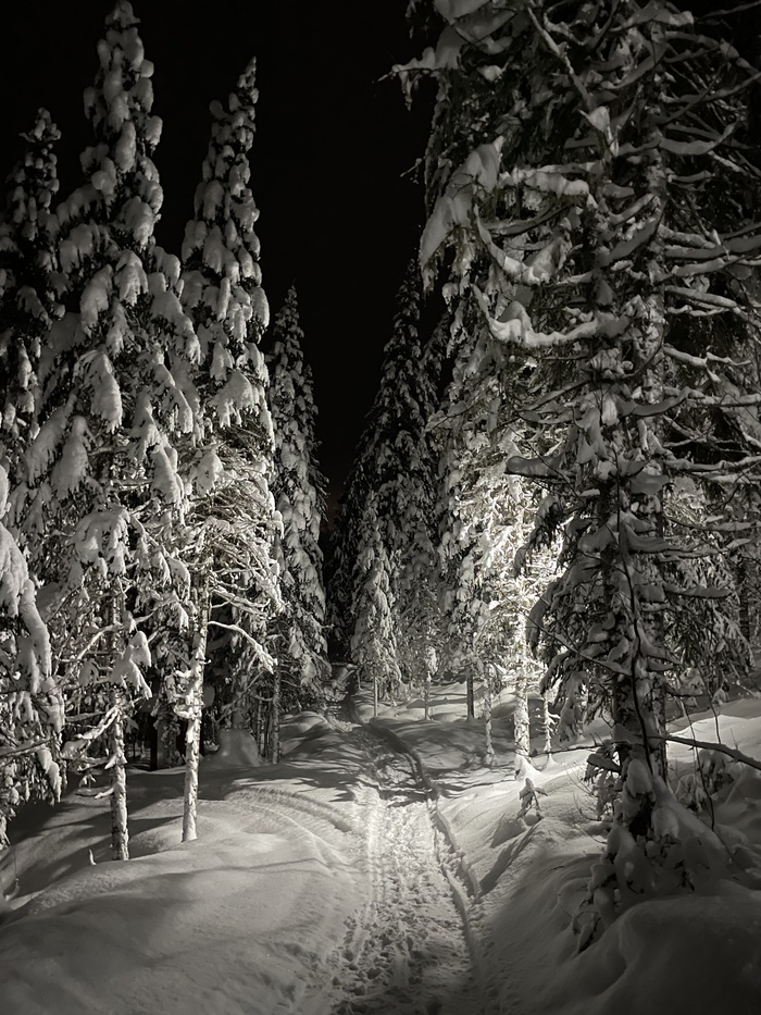 С первым днем зимы