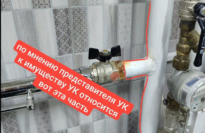 В самом постановлении 491 я не нашёл прямого указания, что имущество УК включает ответвления от стояка до крана включительно, но мне кажется, что это было бы логично