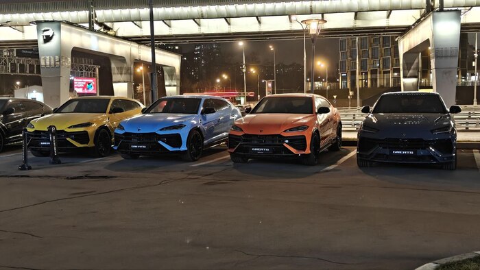 Иногда достаточно просто увидеть что-то красивое и наглое