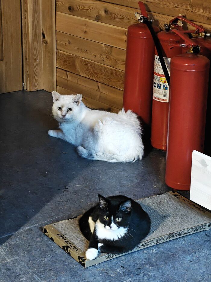 Добровольная пожарная охрана