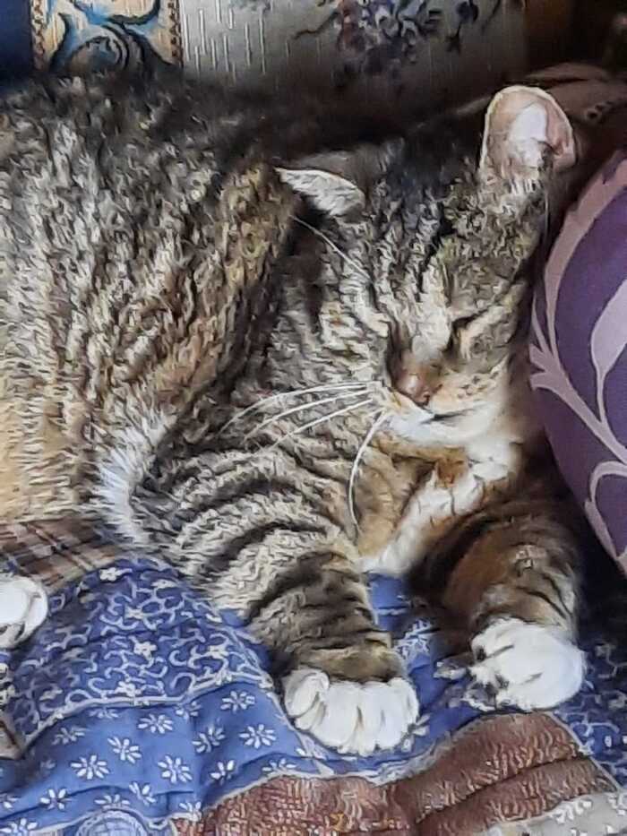 Вам на работу, а я спать