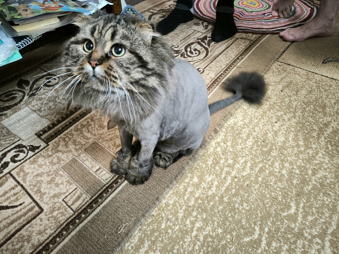 Не всë коту твор0г, бывает мордой об порог...