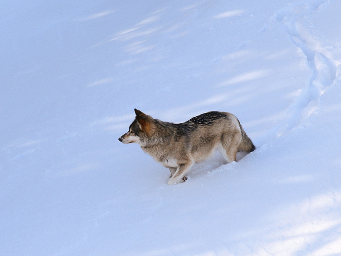      .        80110   1 &#xB2;,   - ,  ,   !