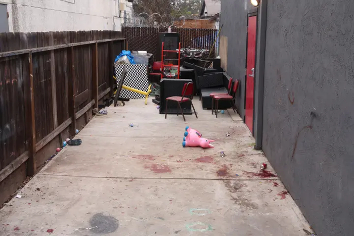     ,       ,                   .