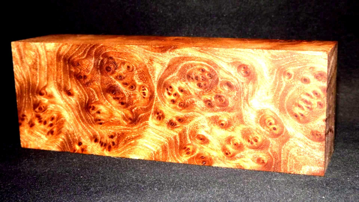 Это разрез капа ильма японского. Ишь, вылупился!