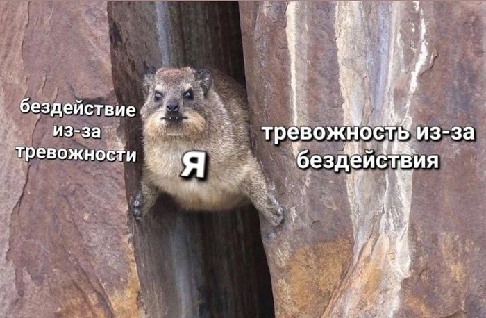 5 СОВЕТОВ, КАК СПРАВЛЯТЬСЯ С ТРЕВОЖНОСТЬЮ