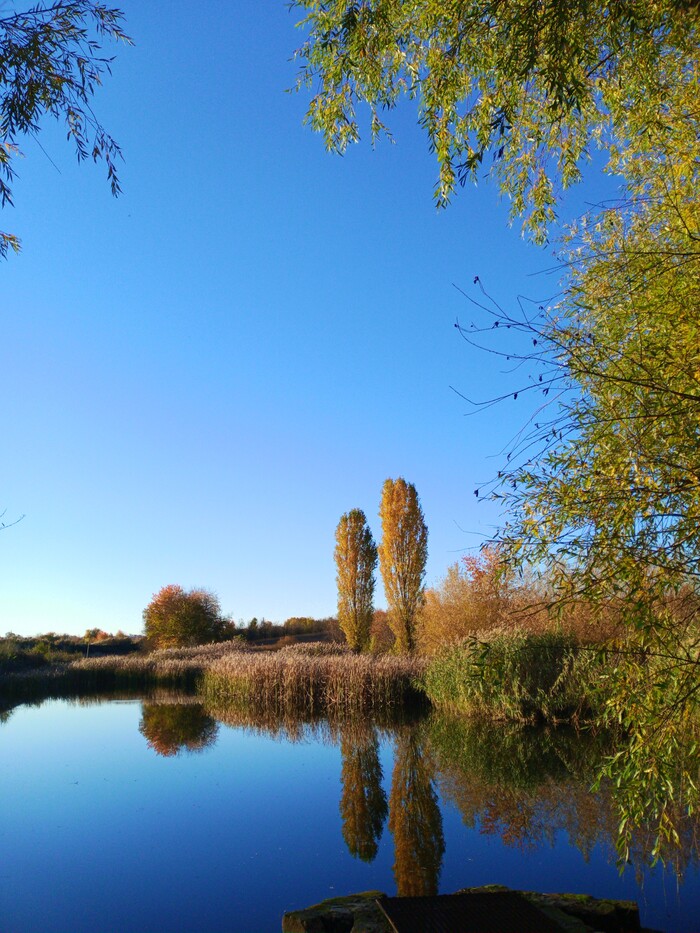 Загородный пруд