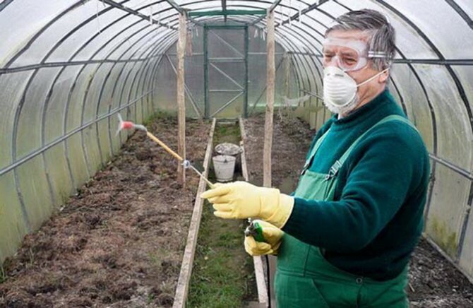 ���������������, ����������� ���������.