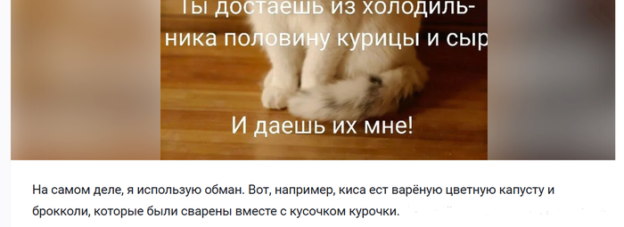 Котячьи Истории, Напомнило