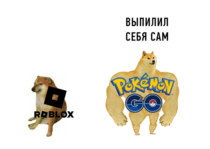  Pokemon GO   