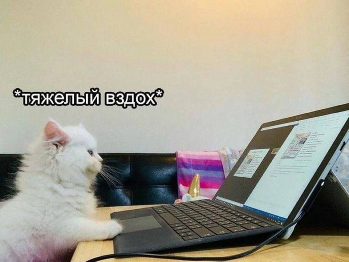 И за работу))