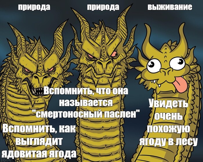 Эксперт по природе