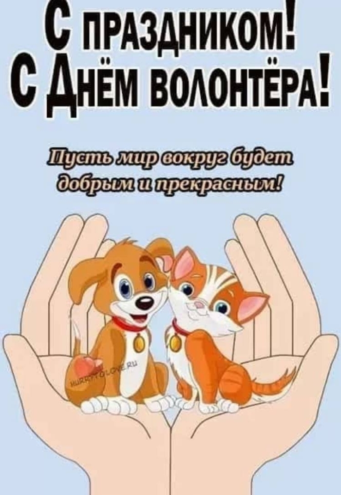 Друзья, сегодня День волонтера!Поздравляем всех добровольцев, кто бескорыстно делает добрые дела с этим праздником!Желаем всем здоровья и Мира и Добра!